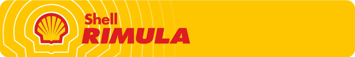 Shell Rimula