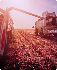 Nullam scelerisque libero quis laoreet interdum. Sed iaculis felis ut augue dictum tristique. Ut nibh est, consequat vel sollicitudin at, hendrerit vel odio.