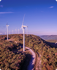 Ut nibh est, consequat vel sollicitudin at, hendrerit vel odio.