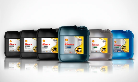 Shell Rimula